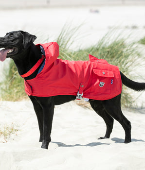 Dog Raincoat - Red
