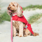 Dog Raincoat - Red