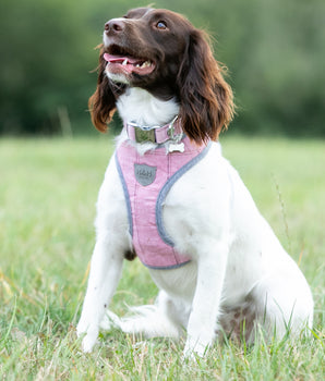 Tweed Dog Harness - Pink Checked