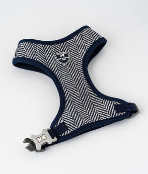 Tweed-Hundegeschirr – marineblaues Fischgrätenmuster