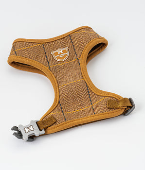 Luxury Tweed Dog Harness – Hugo & Hudson London