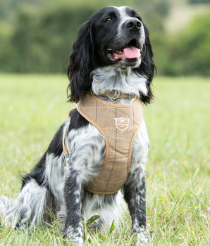 Tweed Dog Harness - Caramel Checked Herringbone