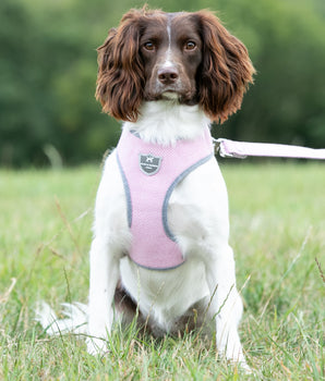 Tweed-Hundegeschirr – rosa Fischgrätenmuster