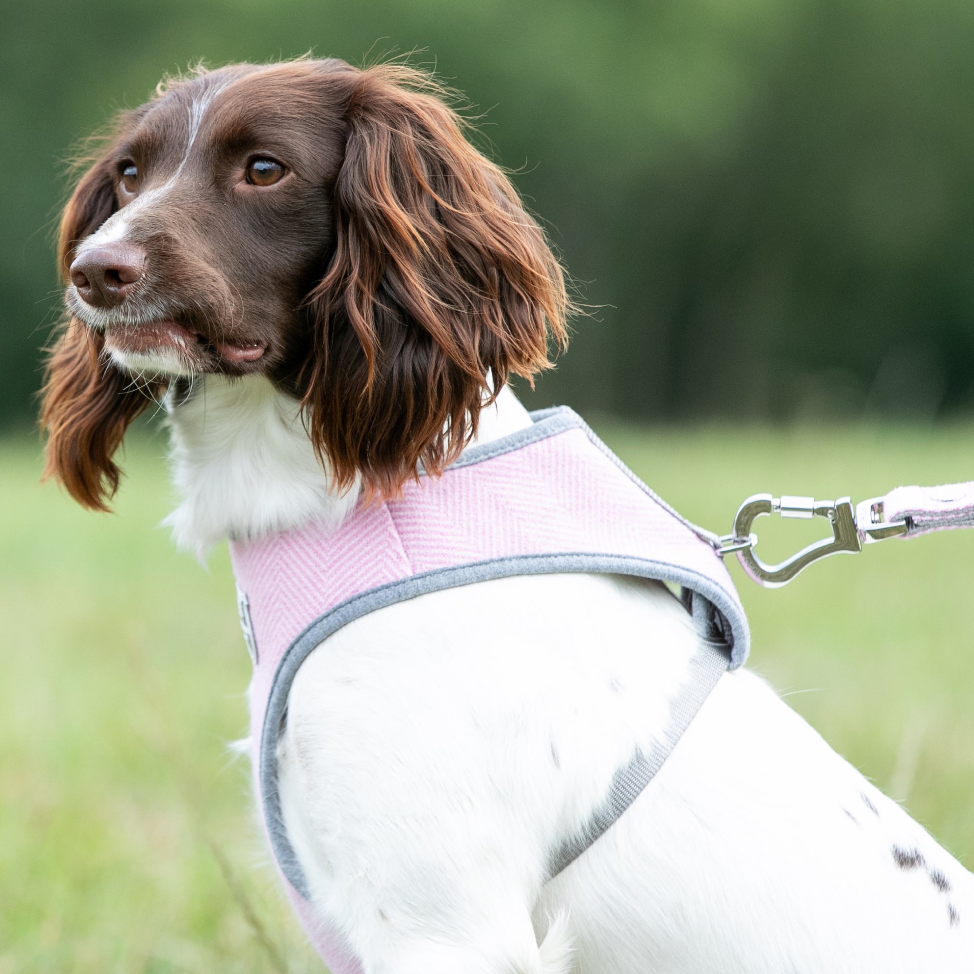 Tweed Dog Harness Pink Herringbone Hugo & Hudson London