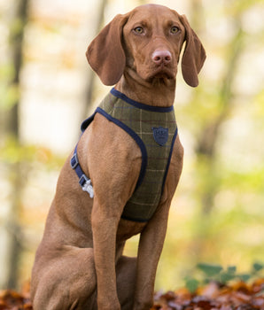 Tweed Dog Harness - Dark Green Checked