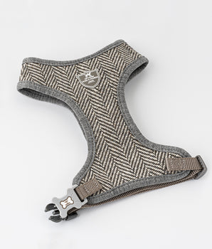 Tweed-Hundegeschirr – graues Fischgrätenmuster