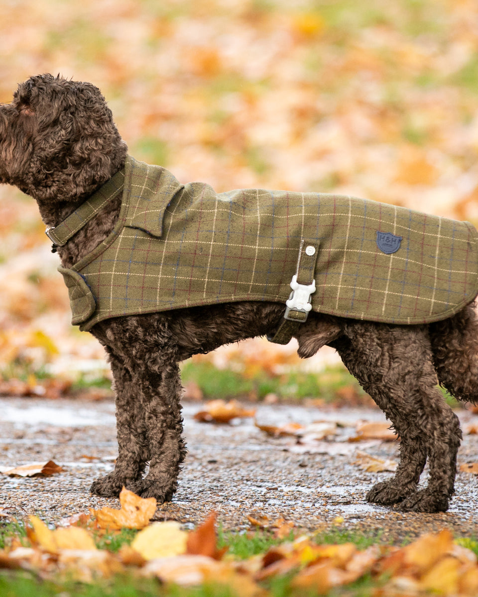 Tweed Fleece Dog Jacket Dark Green Checked Hugo & Hudson London