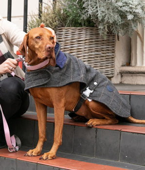 Tweed Fleece Dog Jacket - Grey Checked Herringbone