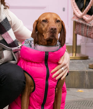 Hundehalsband aus Tweed mit Metallschnalle – rosa Fischgrätenmuster
