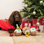 Christmas Pudding Rope Dog Toy