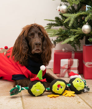 Brussels Sprout Rope Dog Toy