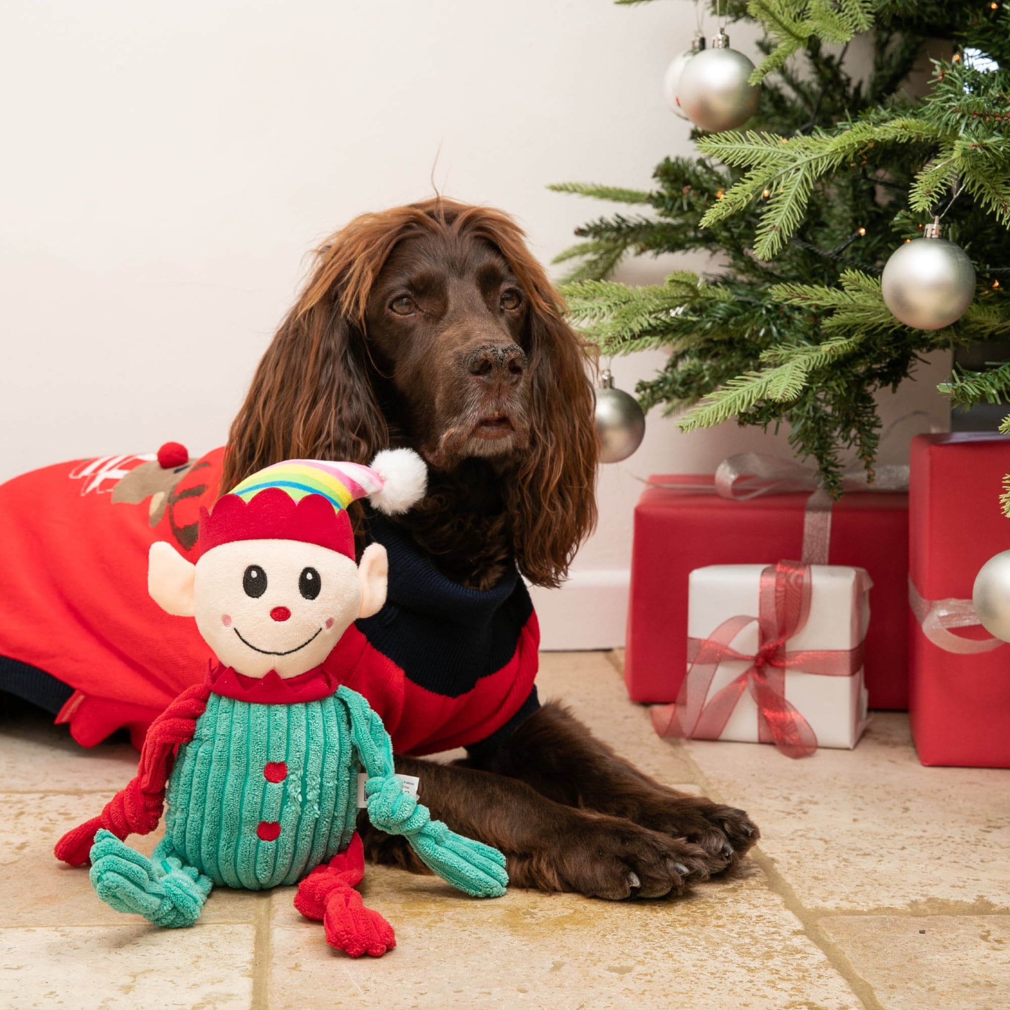 Elf Dod Christmas Elf Dog Toy – Hugo & Hudson London