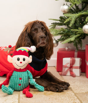 Weihnachtselfen-Hundespielzeug