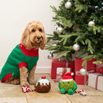 Brussels Sprout Dog Toy