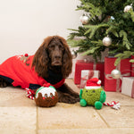 Brussels Sprout Dog Toy