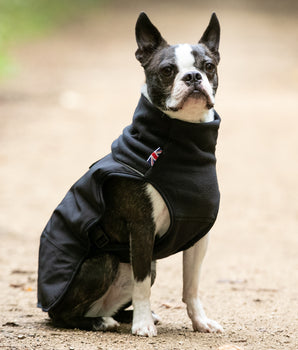 Thermo-Selbsterwärmende Hundejacke – Schwarz