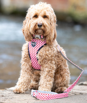 Hundegeschirr aus Stoff – Rosa Wassermelone