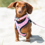 Fabric Dog Harness - Pink Star