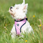 Fabric Dog Harness - Pink Star