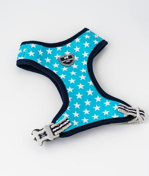 Fabric Dog Harness - Turquoise Star
