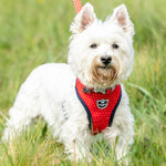 Fabric Dog Harness - Red and Coral Polka Dot